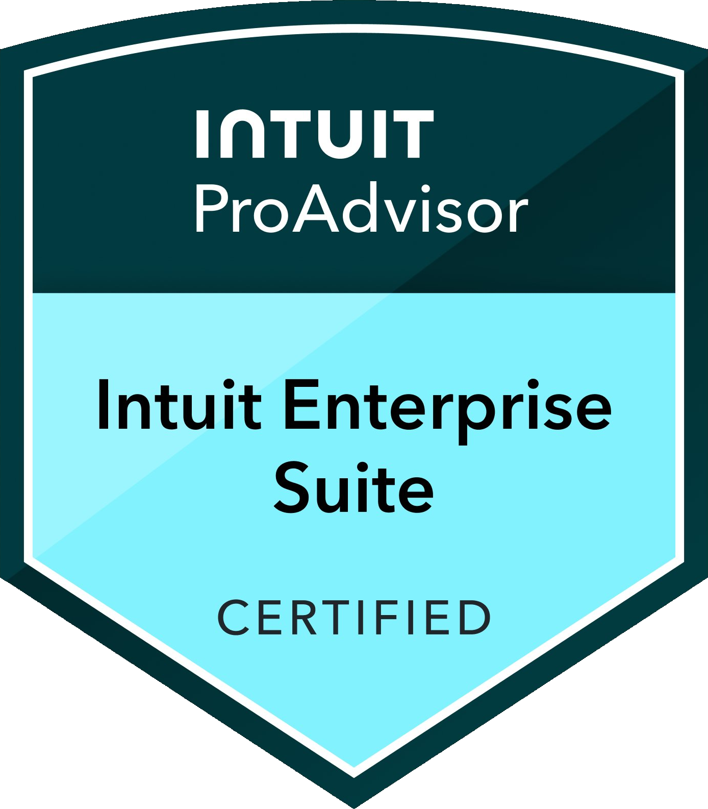 Intuit ProAdvisor Intuit Enterprise Suite Certified